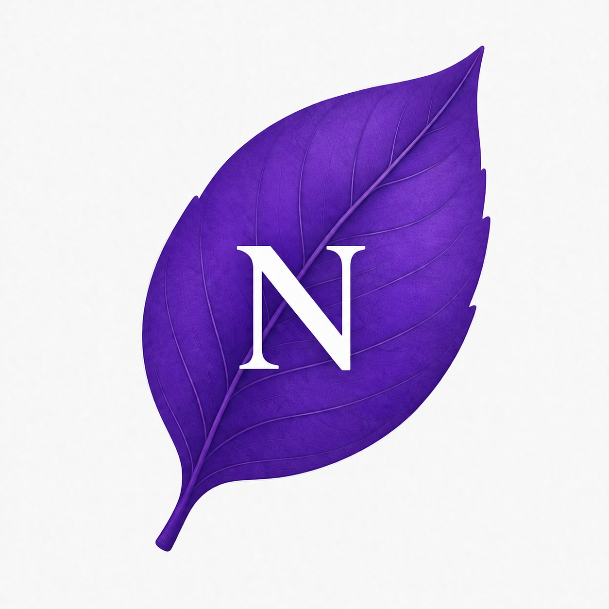 Numkaleh